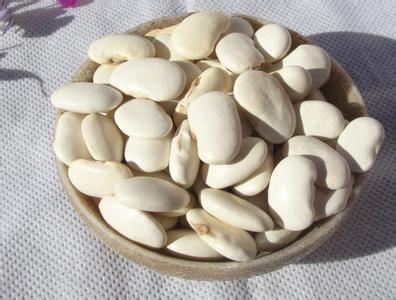 Apakah faedah-faedah utama Of White Kidney Bean Extract?